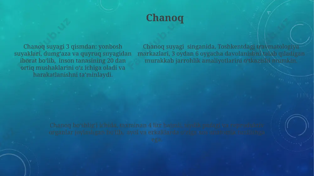 umurtqa pog'onasi - Page 5