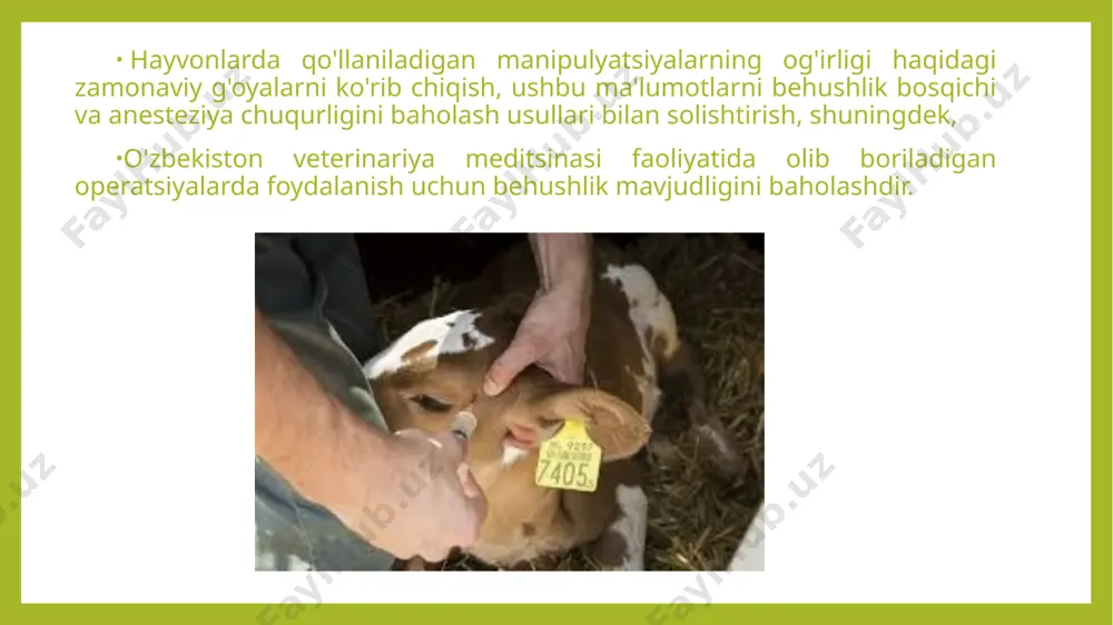 alarga bo'linadi: 1. behushlikdan chiqmasdan. to'liq umumiy behushlik ostida amalga oshiriladigan protseduralar, buning natijasida hayvon ongiga qaytmasligi kerak. 2. oson daraja. hayvonlarga nisbatan qisqa muddatli, engil og'riqni boshdan kechirishi mumkin bo'lgan protseduralar azob-uqubat yoki qayg'u va hayvonlarning farovonligi yoki umumiy holatiga sezilarli ta'sir ko'rsatmaydigan aralashuvlar. 3. o'rta daraja. hayvonlarga mo'tadil og'riq, azob-uqubat yoki qayg'u keltirishi mumkin bo'lgan protseduralar; uzoq muddatli engil og'riq, azob-uqubatlar yoki qayg'u, shuningdek, hayvonlarning farovonligiga yoki umumiy holatiga o'rtacha salbiy ta'sir ko'rsatadigan manipulyatsiyalar. 4. og'ir daraja. hayvonlar uchun qattiq og'riq, azob yoki qayg'uga olib kelishi mumkin bo'lgan protseduralar va hayvonlarning farovonligi yoki umumiy holatiga jiddiy ta'sir ko'rsatadigan aralashuvlar. neyrolept analgeziya: benzodiazepinlar (diazepam yoki midazolam) bilan fentanil/fluanizon (hypnorm). neyroleptanalgeziya - opioid analgetiklarni sedativlar bilan birgalikda qo'llash orqali erishiladigan chuqur sedativ va og'riqsizlantiruvchi holat. jarrohlik paytida hayvonlarda behushlik holatini chaqirish uchun fentanil/fluanizonni boshqa vositalar bilan birgalikda qo'llash afzalroqdir, chunki bu preparatni qo'llashning o'zi mushaklarning zaif bo'shashishiga olib keladi va …
