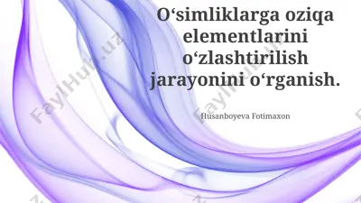 oʻsimliklarda ozuqa moddalarining yutilish jarayoni — PPTX
