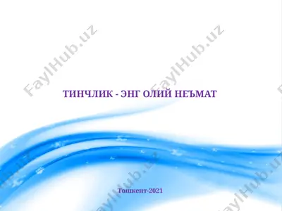 сзбекситон республикаси миллий хавфсизлиги — PPTX