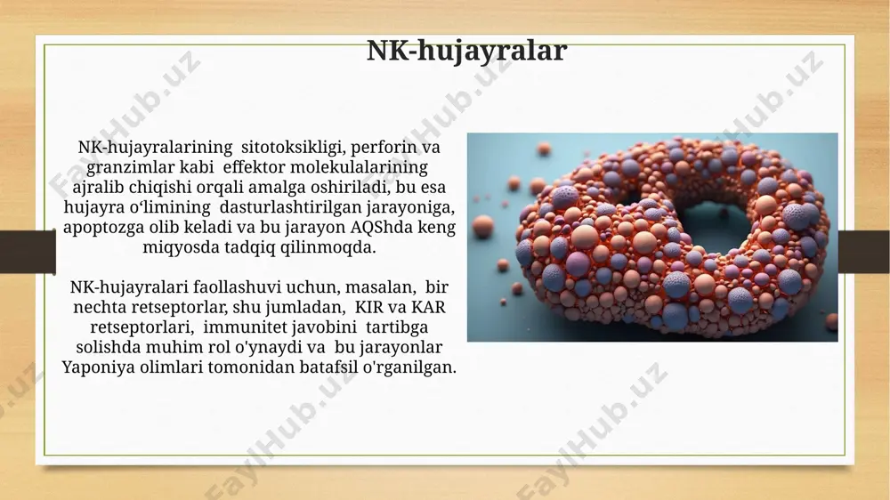 limfotsitlar: populyatsiyalar, subpopulyatsiyalar va limfa - Page 5