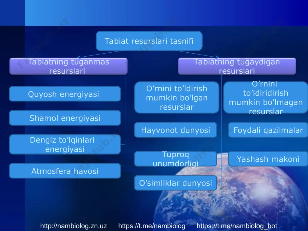 "inson biosfera omili sifatida" mavzusida ta'lim materiallari - Page 5