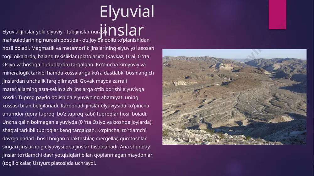 zamon allyuvial jinslarga ajratiladi. qadimgi allyuvial yotqiziqlar yirik daryolaming sohil usti maydonlarida tarqalgan. qadimgi allyuviyda shag‘al toshlar ancha chuqurda yotqizilgan. sirdaryo va amudaryoning quyi tekislik maydonlarida shag‘al kam yotqizilib, asosan qalin qumdan iborat. yosh daryo terrasalari uncha qalin boimagan (1-2 m chuqurlikda) qumoqdan iborat boiib, ancha qadimgi terrasalardaesa qumoq va soz jinslar qalin hamda shag‘alli yoki qum qatlami ancha chuqurda joylashadi. allyuvial yotqiziqlar amudaryo, sirdaryo, qashqadaryo, zarafshon, surxondaryo, chirchiq, ohangaron, murg‘ob, tajan daryolari vodiylarida, sohil va deltalarida keng tarqalgan boiib, ko‘pgina gidromorf tuproqlaming ona jinsi hisoblanadi. ko‘l - allyuvial ko’l-allyuvial yotqiziqlar - koi va allyuviy jinslardan tashkil topgan. bu jinslar bahorda erigan muz suvlarining pastqam tekisliklardagi havzalarida hosil boiadi. koi - allyuvial yotqiziqlaming mexanik tarkibi xilma-xil, asosan qumli va ko‘ndalang qatlamli tuzilishga ega. koi yotqiziqlari qadimgi pastqam joylami toidirib, tarkibining loyli va qatlamli boiishi bilan ajralib turadi. jumladan, muzliklar oldida hosil boigan koilardagi muz-koi yotqiziqlarida lentali loyli qatiam yaxshi ifodalangan. …