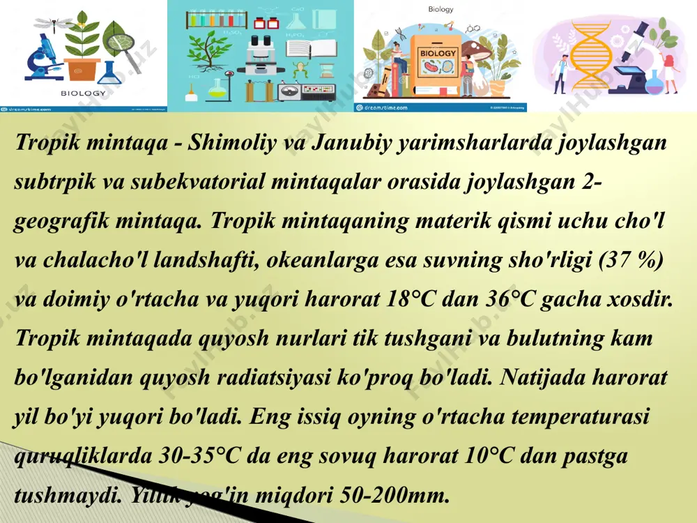 siy va muhim oziqa mahsuloti hisoblanadi. yetilgan mevalarning etini non sifatida yopish, qaynatish, quritish, xomligicha istemol qilish, turli pishiriqlar tayyorlash mumkin odatda xom mevalari sabzavot sifatida qo'llaniladi. mevasi po'stlog'ida lateks tomchilarining paydo bo'lishi uning pishganligini bildiradi. meva eti tez buzilganligi uchun mahalliy aholi uni quritib saqlashadi. ishbu quritilgan mevalar bir necha yollab buzilmasdan saqlanishi mumkin. mevasi nihoyatda to'yimli hisoblanadi. meva tarkibining 71%ini suv, 27%ini uglevodlar, 1%ini oqsil va juda oz miqdorda yog' tashkil etadi. meva vitamin c (35%) va vitamina (10%) larga boy. xulosa qilib aytganda tropik mintaqada tarqalgan o'simliklarning florasi juda kengdir. tropik mintaqada yashovchi xalqlarning asosiy ozuqa mahsulotini tropik mevalar tashkil etadi. bu mevalar yashash sharoitiga ko'ra doimiy harorat va nisbiy namlik yuqori darajada joylashganligi uchun o'sishi va vegetatsiya davri uzoq davom etadi. tropik mintaqada asosan sutlamadoshlar(euphorbiaceae), soyabondoshlar ( apiaceae), loladoshlar (liliaceae), papayyadoshlar ( papayaceae), yong'oqguldoshlar (juglandaceae), sho'raguldoshlar( chenopodiaceae), sutlamadoshlar( euphorbiaceae), bananguldoshlar (zingirberaceae), murakkabguldoshlar( asteraceae), qovoqguldoshlar ( cucurbitaceae), …