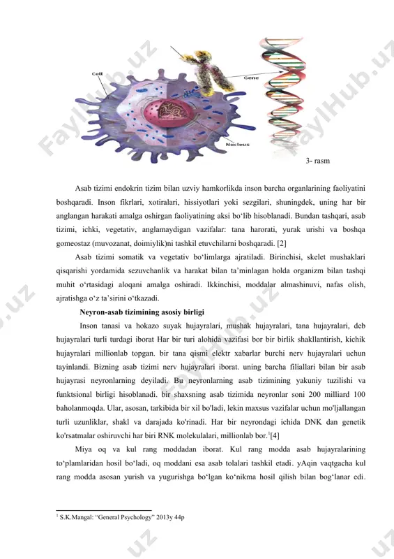 haklari qisqarishi yordamida sezuvchanlik va harakat bilan ta’minlagan holda organizm bilan tashqi muhit o‘rtasidagi aloqani amalga oshiradi. ikkinchisi, moddalar almashinuvi, nafas olish, ajratishga o‘z ta’sirini o‘tkazadi. neyron-asab tizimining asosiy birligi inson tanasi va hokazo suyak hujayralari, mushak hujayralari, tana hujayralari, deb hujayralari turli turdagi iborat har bir turi alohida vazifasi bor bir birlik shakllantirish, kichik hujayralari millionlab topgan. bir tana qismi elektr xabarlar burchi nerv hujayralari uchun tayinlandi. bizning asab tizimi nerv hujayralari iborat. uning barcha filiallari bilan bir asab hujayrasi neyronlarning deyiladi. bu neyronlarning asab tizimining yakuniy tuzilishi va funktsional birligi hisoblanadi. bir shaxsning asab tizimida neyronlar soni 200 milliard 100 baholanmoqda. ular, asosan, tarkibida bir xil bo'ladi, lekin maxsus vazifalar uchun mo'ljallangan turli uzunliklar, shakl va darajada ko'rinadi. har bir neyrondagi ichida dnk dan genetik ko'rsatmalar oshiruvchi har biri rnk molekulalari, millionlab bor.[footnoteref:1][4] [1: s.k.mangal: “general psychology” 2013y 44p] miya oq va kul rang moddadan iborat. kul rang …