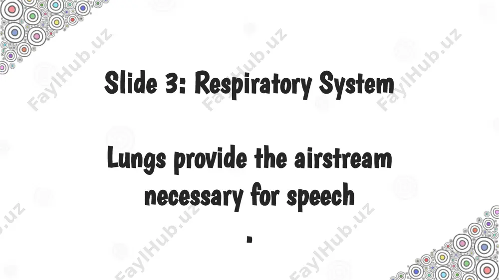 speech organs and their function - Page 4