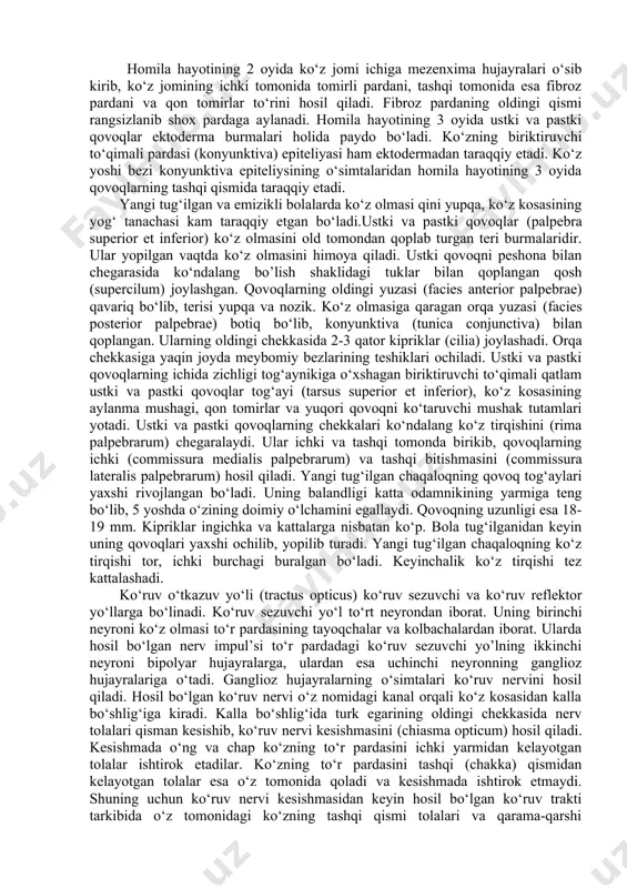 qavat hujayralar hisoblanadi. ko‘z akkomodatsiyasi. akkomodatsiya (ko‘zning moslanishi) bu ko‘zni turli uzoqlikdagi narsalarni aniq ajratish qobiliyatidan iboratdir. yaqindan va uzoqdan ko‘rish yaqindan va uzoqdan ko‘rish tug‘ma bo‘lishi shuningdek, hayot davrida ortirilishi mumkin. normal ko‘rishda narsalarning tasviri to‘r pardada hosil bo‘ladi. yaqindan ko‘rishda esa narsalarning tasviri to‘r pardaning oldida hosil bo‘ladi. uzoqdan ko‘rish esa narsalarning tasviri to‘r pardaning orqasida hosil bo‘ladi. yaqindan ko‘ruvchi kishilar narsalarni ravshan ko‘rishlari uchun ikki tomoni botiq, ko‘zoynak taqishlari kerak. uzoqdan ko‘radigan kishilarga esa ikki tomoni qavariq. ko‘zoynak taqish tavsiya etiladi. bunday linzalar ko‘z gavharini qo‘shimcha ravishda nur to‘plash kuchini orttiradi. keksa kishilarda gavharning elastikligi va akkomodatsiyasi yo‘qoladi. natijada ko‘z uzoqdan ko‘radigan bo‘lib qoladi. to‘r pardaning yorug‘lik ta’sirini sezadigan hujayralari tayoqchalar bilan kolbachalardan iborat. tayoqchalar to‘r pardaning chetlarida, kolbachalar esa markazida joylashgan bo‘ladi. odamda ko‘z olmasi bir nechta manbaadan: yorug‘lik sezuvchi to‘r parda miya pufagining yon devoridan, ko‘z gavhari - ektodermadan, tomirli va fibroz pardalar - mezenximadan …