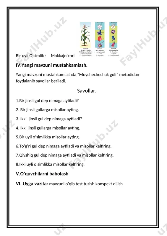 gullarning xilma - xilligi dars ishlanmasi - Page 5