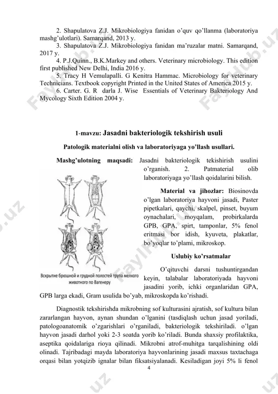 chiqindilar kuydiriladi. tabiiy moyil hayvonlarning jasadi ham xuddi shunday tekshiriladi. patologik material olish va laboratoriyaga yo’llash. infeksion kasallikka gumon qilinganda vetvrach kerakli patologik materialni tekshirish uchun veterinariya laboratoriyasiga yo’llaydi. material kasal, majburiy so’yilgan yoki o’lgan hayvonlardan oiinadi. lekin barcha hollarda antimikrobli preparatlar bilan davolanmagan hayvonlardan olgan ma'qul. bakteriologik tekshirish uchun material sifatida mayda hayvonlar va parrandalarning jasadlari, yirik hayvonlardan taloq, jigar (o’t xaltasi bilan), buyrak to’qimalari, mushak, yurak (butunligicha), limfa tugunlar, qon (bakteriologik tekshirish uchun 15 ml rezina tiqin bilan yopilgan probirkalarda fibrinsizlangan qon; serologik tekshirish uchun ivigan qon), oshqozondagi massa, yiring, balg’am, sut, siydik, tashlangan homila, bosh miya, ichak qismchasi ikki tomoni boylangan holda, ilik suyagi, gumon qilingan oziqa namunasi, qondan tayyorlangan surtmalar va tamg’ali preparatlar yo’llanadi. 1. materialni yangi o’lgan hayvon jasadidan olish lozim (hayvon o’lgandan keyin 2-3 soatdan kechiktirmay). ba'zi hollarda kasal hayvonlar guruhidan bir ikkitasini majburiy so’yish maqsadga muvofiq bo’ladi. 2. patologik materialni olishda qo’zg’atuvchini tarqalishiga, …