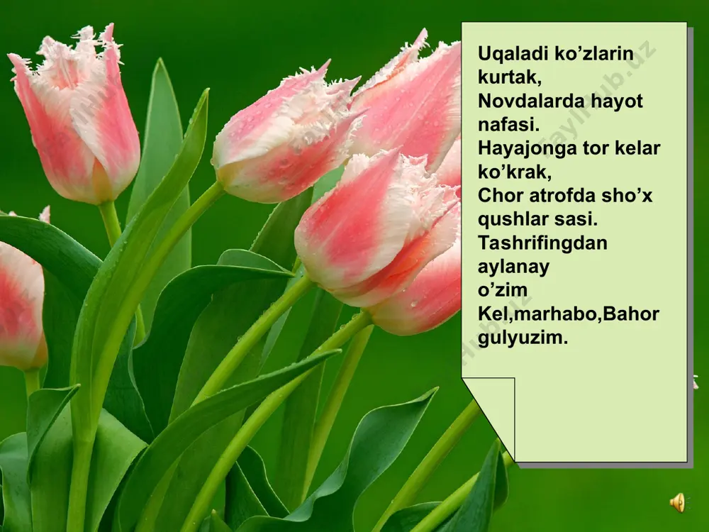 3-sinf. ob-havo mavzusi - Page 2