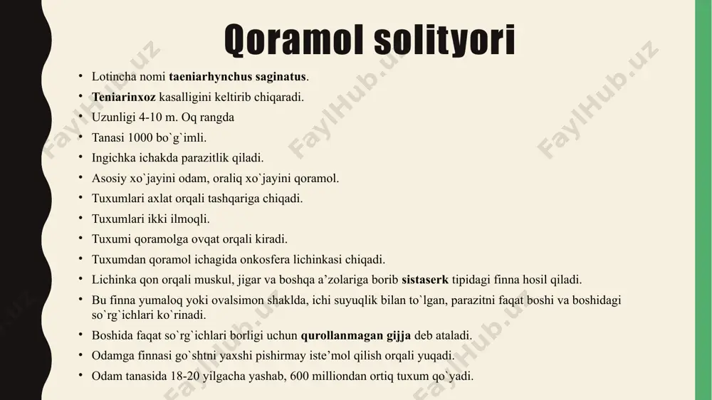 tasmasimon chuvalchanglar – odam parazitlari - Page 5