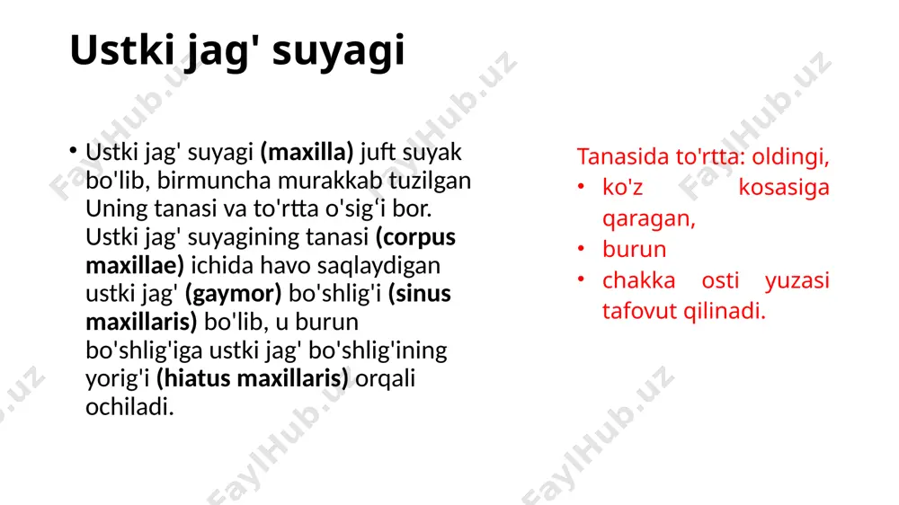 bo'lib, ko'z kosasi, burun bo'shlig'i, og'iz bo'shlig'i va qanot-tanglay chuqurchasini hosil qilishda ishtirok etadi. u bir-biriga to'g'ri burchak hosil qilib birikkan gorizontal va perpendikular plastinkalardan iborat image1.png image2.jpeg image3.png image4.png image5.png image6.jpeg image7.jpeg image8.png image9.png image10.png image11.png image12.png /docprops/thumbnail.jpeg