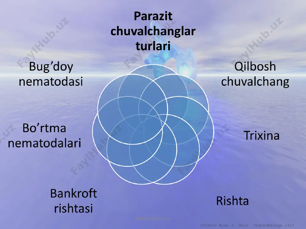 lchanglarni hay dab chiqarish haqida yozgan. o'zbek olimlari a.t. to'laganov o'simlik gelmintlarini, m.a. sultonov, j.a. azimov, e.x. ergashev yovvoyi va uy hayvonlari hamda o'simlik gelmintlarini o'rganishgan. olimlar olib borgan tadqiqotlar parazit chuvalchanglar yetkazadigan zararni keskin kamaytirishga imkon berdi. www.arxiv.uz www.arxiv.uz tasmasimon chuvalchanglar tana shakli tasmaga о'xshash yassi va uzun bo'ladi. tanasi bo'g'imlarga bo'lingan. parazit hayot kechirishi tufayli ularning tuzilishi juda o'zgarib ketgan. chunonchi, tanasining oldingi qismida xo'jayin ichagi devoriga yopishib olishga moslashgan har xil so'rg'ichlar va ilmoqchalar rivojlangan. hazm qilish sistemasi yo'qolib ketgan. ular tana yuzasi orqali xo'jayin ichagida hazm bo'lgan tayyor oziqni so'rib oladi. jinsiy sistemasi juda kuchli rivojlangan bo'lib, har bir tana bo'g'imida takrorlanadi. tasmasimon yassi chuvalchanglar odam va turli hayvonlarning ichki organlari va to'qimalarida parazitlik qiluvchi 3300 ga yaqin turni o'z ichiga oladi. tipik vakili qoramol tasmasimoni hisoblanadi www.arxiv.uz www.arxiv.uz tuzilishi. qoramol tasmasimoni voyaga yetgan davrida odamning ingichka ichagida parazitlik qiladi. tanasining uzunligi 8—10 m ga etadi. …