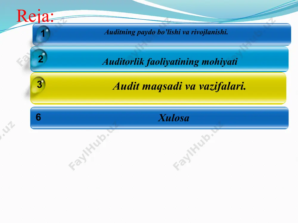 firmalari o’z faoliyatini butun dunyo bo’ylab amalga oshirib, ularning ko’rsatayotgan xizmatlarining jami auditorlik xizmatlaridagi ulushi 70-80 % dan oshadi. turli mulkchilik shakllarining vujudga kelishi, kapitalning shakllanishi, investorlar sinfining paydo bo’lishi, aksiyadorlik jamiyatlarining ma’muriyati mulkdorlar bilan bevosita aloqa qilish va xolisona axborot berishi, ishlab chiqarish samaradorligini oshirilishi va ishni to’g’ri tashkil etilishi o’zbekistonda auditorlik faoliyatining rivojlanishini ob’ektiv zaruriyat qilib qo’ydi. ma’lumotlarga binoan, 2013 yilda 110 ta auditorlik tashkilotlari faoliyat yuritgan. ular orasida yuqori reytingga ega va mijozlar ishonchini oqlagan auditorlik tashkilotlari quyidagilardir: buxgalter-audit, kosauditinform, marikon-audit, korifey-audit, audit global ma’lumot, kamila azim audit, ekoaudit, fineks, global-audit, diplomat-audit va boshqalar. mamlakatimizda bugungi kunda milliy auditorlik firmalari bilan bir qatorda xalqaro auditorlik firmalarining faoliyat yuritishi uchun keng imkoniyatlar ochilgan. bugungi kunda mamlakatimizda deloitte&touchche, price waterhous coopers, ernst&young, grant thornton international, mazars international, pkf international, kreston international, baker tilly international va boshqa xalqaro auditorlik kompaniyalari faoliyat yuritmoqda. ularning mijozlari tarkibiga “coca cola uzbekistan ltd”, “andijonkabel”, …