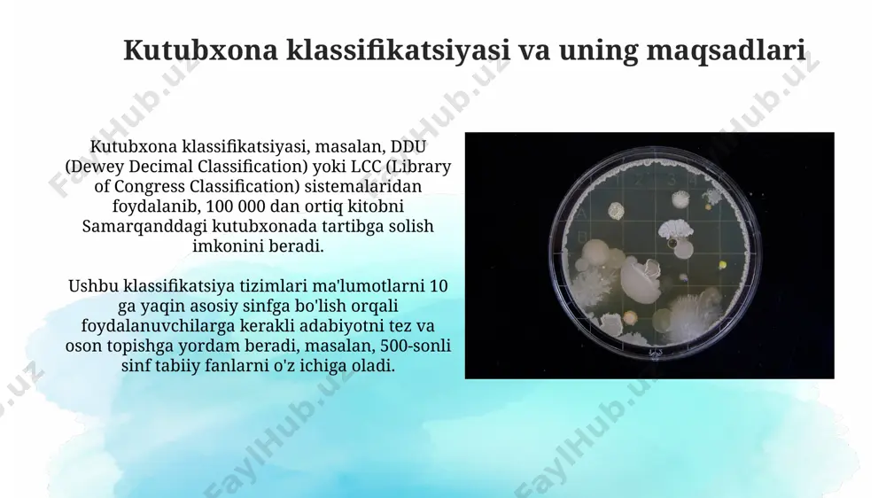 kitobxonlikni shakllantirish fanining maqsad va vazifalari - Page 5
