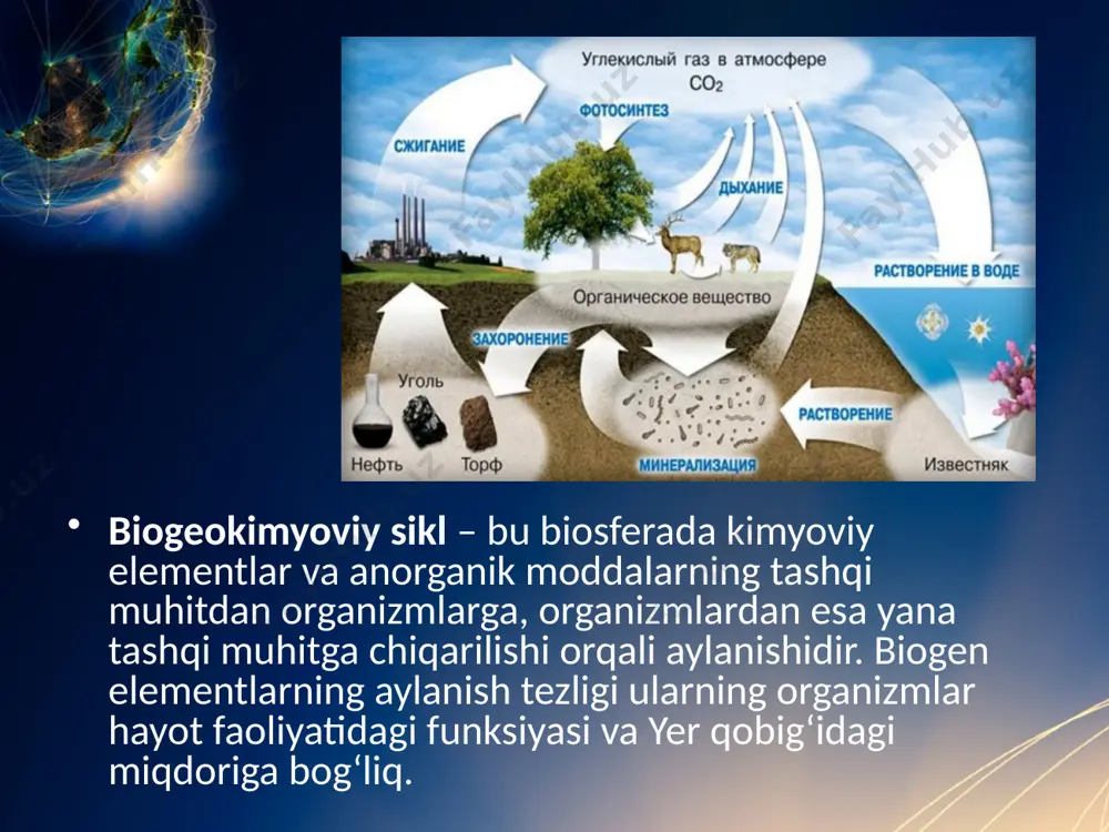 islota tuzlari) va sulfatlar (sulfat kislota tuzlari) ko‘rinishida hamda erkin holda bo‘ladi. biogen elementlarning davriy aylanishi, bir-biridan aylanish tezligi, jarayonlari bilan tubdan farq qiladi, lekin ular orasida o‘xshashliklar ham mavjud: 1) elementlarning davriy aylanishi energiya oqimi bilan bog‘liq; 2) oziq mahsulotlari tarkibiga kiruvchi kimyoviy elementlar organizmlardagi biokimyoviy jarayonlarda ishtirok etadi, bu elementlar anorganik tabiatdan tirik organizmlarga va qaytadan tabiatga qaytariladi. image2.jpeg image3.jpeg image4.jpeg image5.jpeg image6.jpeg image7.jpeg image8.jpeg image9.jpeg image10.jpeg image11.jpeg image12.jpeg image13.jpeg image14.jpeg image1.jpeg /docprops/thumbnail.jpeg