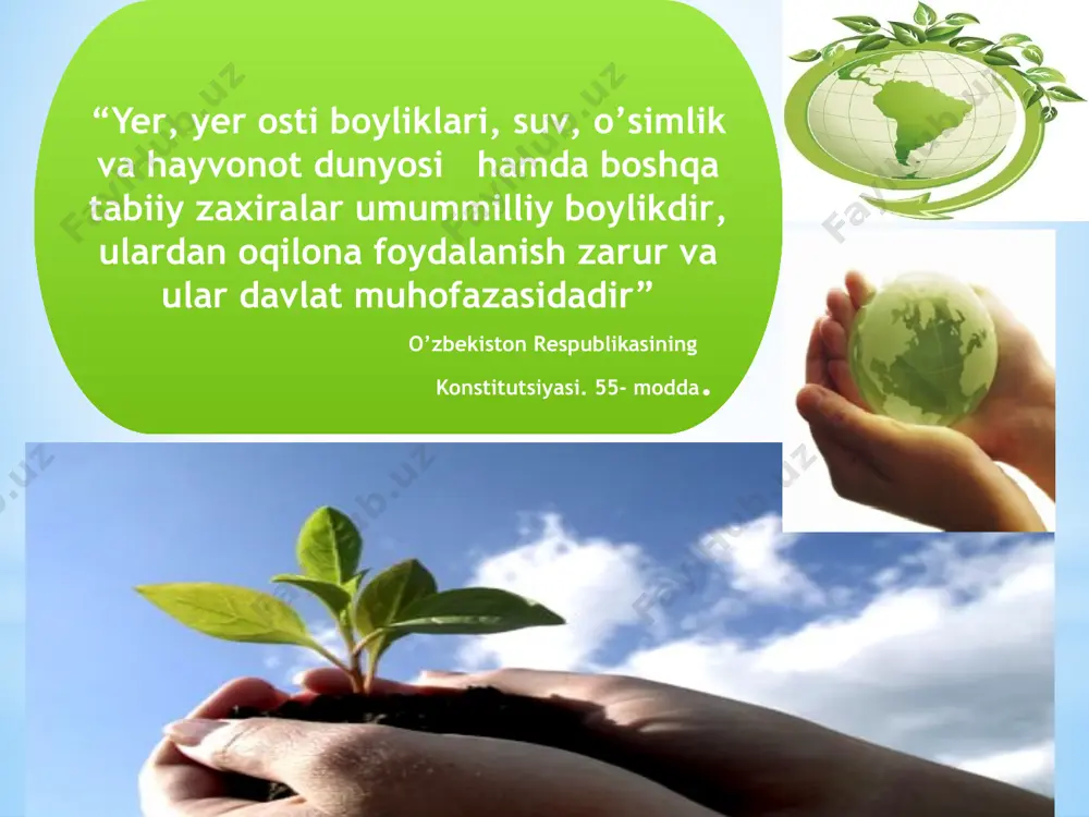 5 000 dan ortiqroq o’simlik turlari kiradi. o’zbekistonda bu sinfga 138 oilaga kiruvchi 37000 ga yaqin tur uchraydi. xulosa va tavsiyalar o’simliklarni sistemaga solish, o’simliklar sistematikasini o’rganishning ahamiyati o’quvchilar qolgan barcha mavzularni oson o’zlashtirib olishiga imkoniyat yaratadi. biologiya fanining qolgan bo’limlarini solishtirib o’rganib ajrata oladi. tabiatda uchratgan har qanday o’simlik turini qiynalmay qaysi turkum, oilaga tegishli ekanligini topa oladi. buning uchun o’qituvchining vazifasi juda katta. xulosa qilib aytganda, tabiatni, uning ne’matlarini asrab-avaylashga barcha birdek mas’ullik sezishi, bu borada konstitutsiyamiz va qonunlarda ko‘rsatilgan talablardan xabardor bo‘lishi, ularga qat’iy amal qilishi kerak. zero, tabiatni asrash kelajakni asrash, demakdir. shiorim:o’qituvchi hech qachon to’xtab, qotib qolmasligi kerak: «ijodkorlik,izlanuv chanlik, intiluvchanlik insondagi iqtidor va iste’dodni yanada rivojlantiradi ». e`tiboringiz uchun rahmat image1.jpeg image2.jpeg image3.jpeg image4.jpeg image5.jpeg image6.jpeg image7.jpeg image8.jpeg image9.jpeg image10.png image11.jpeg audio1.wav image12.jpeg image13.jpeg image14.png audio2.wav audio3.wav image15.jpeg image16.png image17.png image18.gif stack of library books /docprops/thumbnail.jpeg