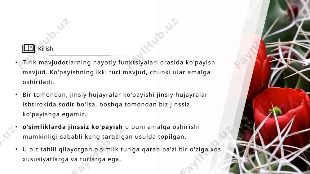 orasida (o`t.chala buta, daraxt) tez-tez ko`rinadi. ko`pincha o`rmonzorlarda daraxtlarning ostida o`sishga moslashgan o`tchil uruglari denrli pishib etilmaydi, bunga asosiy sabab yoruglikning starli bo`lmasligi hamda changlatuvchi hasharotlarning ozligidir, shuning uchun bu xildagi usimliklar sr osti ildizpoyasi, ildiztugunak, piyozboshlar yordamida juda ham tez ko`payadi va ko`plab yosh o`simliklar o`sib chiqadi (landish, qizilmiya (shirinmiya),lola va boshqalar), o`simliklar bolalovchi o`simliklar deb ataladi. vegetativ koʻpayish har yili yoki ikki yilda bir marta roʻy beradi. koʻp yillik oʻsimliklarda esa bir necha yilda bir kuzatiladi. ildizpoyasidan koʻpayadigan oʻsimliklarga ajriq, gʻumoy, salamalaykum va boshqalar kiradi. ildizpoyasidan koʻpayadigan ajriq, gʻumoy, salamalaykum va boshqalar kiradi. tugunaklar. zira (буниум персиcум), xashaki zira (qarg`aoyoq) va skorsonera tugunaklarda o`simlik uchun zarur oziq moddalar to`planadi va vegetativ ko`payish vazifasini bajaradi. bunday ko`payishni kartoshka, topinambur va boshqa o`simliklarda ko`rish mumkin. bu xildagi tugunaklar er ostida joylashgani uchun er osti tugunaklar deb ataladi. o`rta osiyo cho`l, adir va tog` o`simliklari orasida lola, narsiss, chuchmo`ma,boychechak,liliya (piyozgul), piyoz …