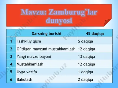 zamburug`lar dunyosi — PPTX