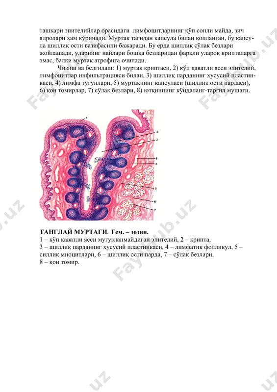 image2.png image3.png image4.png