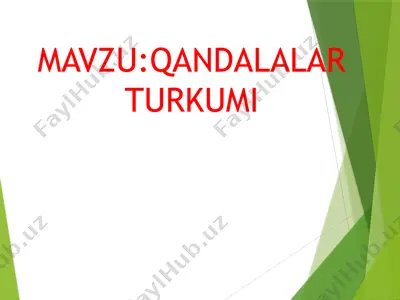 qandalalar turkumi — PPTX