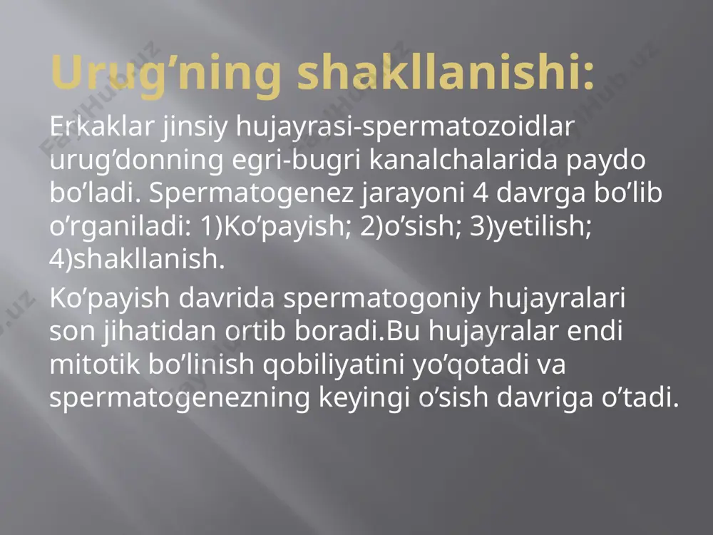 erkaklar jinsiy a’zolari - Page 4