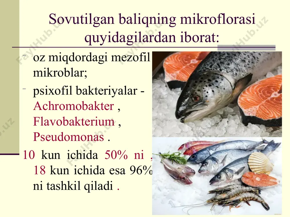 baliq va baliq mahsulotlari mikrobiologiyasi - Page 4
