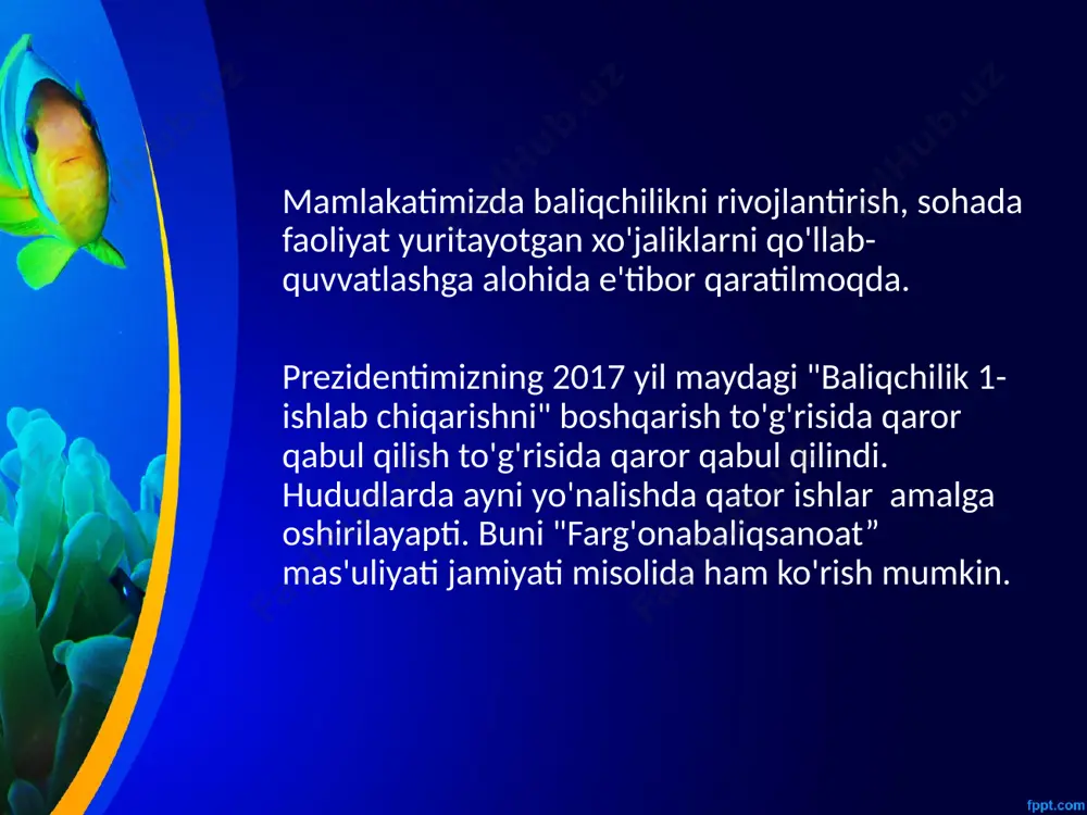 orida belgilanadi. 2022 yilda qoraqalpog‘iston respublikasi va viloyatlarda jami 700 ming tonna baliq yetishtiriladi. 2022 yil 15 yanvardan “har bir oila – tadbirkor” davlat dasturi doirasida xonadonlarda baliq yetishtirish uchun ajratiladigan kredit bhmning 150 baravaridan 300 baravarigacha oshiriladi. intensiv usulda xonadonlarda baliq yetishtirish loyihalarini moliyalashtirishga 200 milliard so‘m mablag‘ ajratiladi. 2022 yil 1 apreldan 2025 yil 1 yanvargacha jismoniy shaxslarning aholi xonadonlarida baliq yetishtirish yo‘nalishi bo‘yicha o‘quv kurslarida o‘qish xarajatlarini qoplash uchun bhmning 2 baravarigacha bir martalik subsidiya ajratiladi. oliy malakali ilmiy va ilmiy-pedagog kadrlar ixtisosliklari ro‘yxatiga “baliqchilik” ixtisosligi kiritiladi. 2022 yildan toshkent davlat agrar universiteti va baliqchilik ilmiy-tadqiqot instituti doktorantura bosqichlariga “baliqchilik” ixtisosligi bo‘yicha har yili 2 tadan o‘rin ajratiladi. oliy malakali ilmiy va ilmiy-pedagog kadrlar ixtisosliklari ro‘yxatiga “baliqchilik” ixtisosligi kiritiladi. 2022 yildan toshkent davlat agrar universiteti va baliqchilik ilmiy-tadqiqot instituti doktorantura bosqichlariga “baliqchilik” ixtisosligi bo‘yicha har yili 2 tadan o‘rin ajratiladi. oʻzbekiston respublikasi davlat soliq qoʻmitasi aholining vitamin …