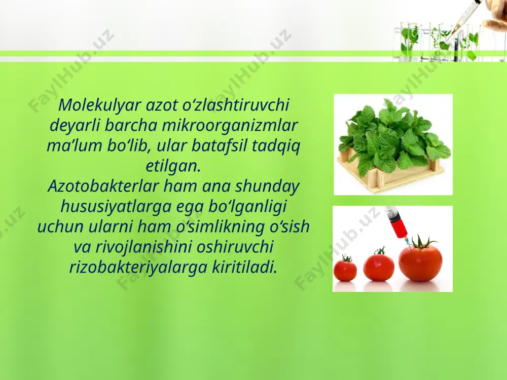 rizobakteriyalar va ulardan foydalanish - Page 5