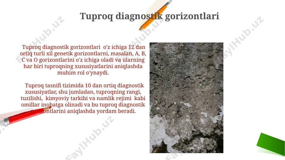 tuproq klassifikatsiyasi va taksonomik birliklar - Page 4