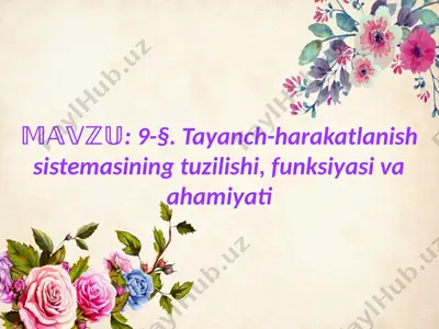 tayanch-harakatlanish sistemasining tuzilishi, funksiyasi va ahamiyati — PPTX