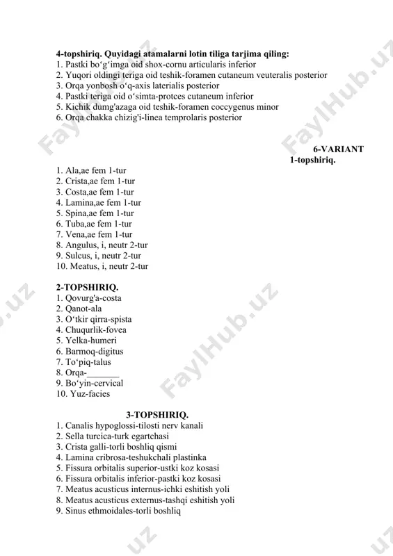 lotin tila lugat - Page 5