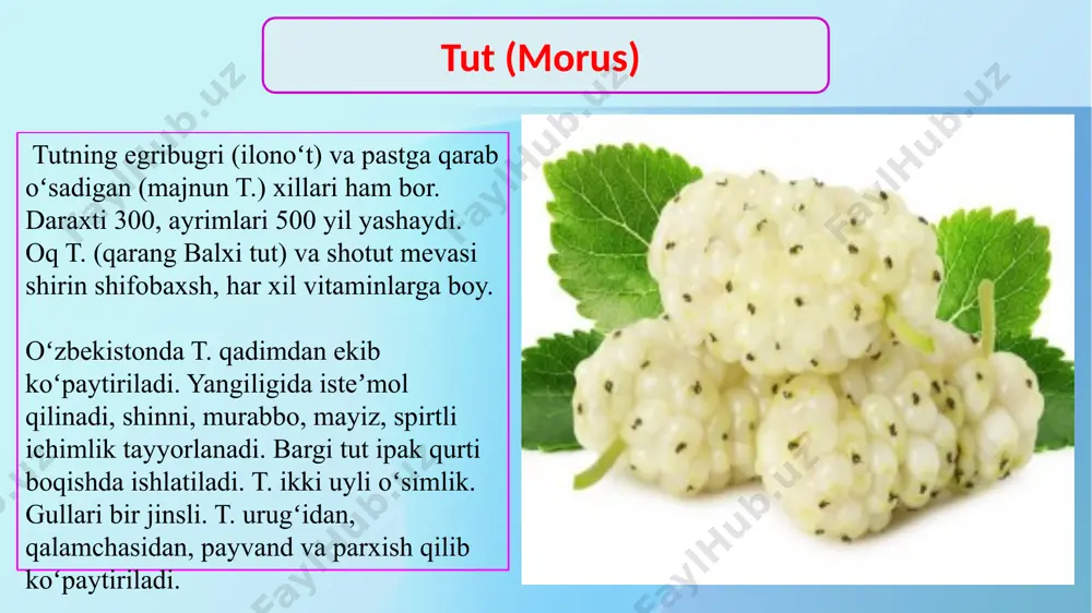 uchun ajoyib vosita hisoblanadi. anjir e’tiboringiz uchun rahmat! image2.jpeg image3.jpeg image4.jpeg image5.jpeg image6.jpeg image7.jpeg image8.jpeg image9.jpeg image10.jpeg image11.jpeg image1.png