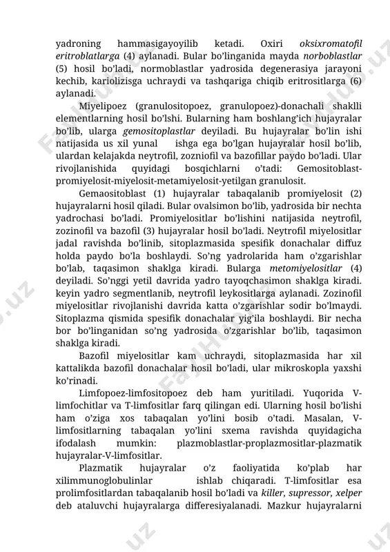 oz miqdorda bo’lsa ham har xil yirik-mayda mitoxondriylar, diffuz holda tarqalgan ribosomalar uchraydi. proeritroblastlar ham bo’lin xususiyatiga ega. bo’linganda ulardan ham maydaroq ko’plab yumaloq hujayralar hosil bo’ladi. bularning sitoplazmasi bazofil holatini yo’qotib faqat ishqoriy bo’yoqqa emas, balki kislotali bo’yoqqa ham bo’yaladigan bo’ladi. shuning uchun ular polixromatofil eritroblastlar (3) deyiladi. tarkibida gemoglobin moddasi yig’ila boshlaydi, yadrosi yuqolib, yadro xromatini yadroning hammasigayoyilib ketadi. oxiri oksixromatofil eritroblatlarga (4) aylanadi. bular bo’linganida mayda norboblastlar (5) hosil bo’ladi, normoblastlar yadrosida degenerasiya jarayoni kechib, kariolizisga uchraydi va tashqariga chiqib eritrositlarga (6) aylanadi. miyelipoez (granulositopoez, granulopoez)-donachali shaklli elementlarning hosil bo’lshi. bularning ham boshlang’ich hujayralar bo’lib, ularga gemositoplastlar deyiladi. bu hujayralar bo’lin ishi natijasida us xil yunal ishga ega bo’lgan hujayralar hosil bo’lib, ulardan kelajakda neytrofil, zozniofil va bazofillar paydo bo’ladi. ular rivojlanishida quyidagi bosqichlarni o’tadi: gemositoblast-promiyelosit-miyelosit-metamiyelosit-yetilgan granulosit. gemaositoblast (1) hujayralar tabaqalanib promiyelosit (2) hujayralarni hosil qiladi. bular ovalsimon bo’lib, yadrosida bir nechta yadrochasi bo’ladi. promiyelositlar bo’lishini natijasida …