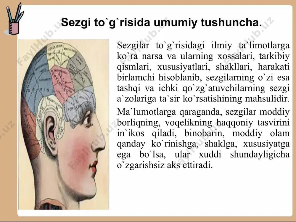 i, ya`ni sezgining obyektiv ko`rsatkichi sifatida ishlashga imkoniyat yaratadi. ma`lumki, sezgini paydo qiluvchi liar bir qo`zg`atuvchi, ya`ni qo`zg`atgich, ref­lektor jihatdan yuzaga keluvchi jarayonlarni yuzaga chaqiradi, chunonchi bular tomirlarning torayishi, teri galvanik reflektorlarning paydo bo`iishi (teri qarshiligining o`zgarishi), miyaning elektr faolligining o`zgarishi, ko`z-larning qo`zg`atgich tomon burilishi kabilar. bularning barchasi sezgi jarayoni paydo bo`layotgandagina ishga tushadi, shu sababli ular sezgilarning obyektiv ko`rsatkich-lari sifatida xizmat qila oladi. sezgi turlarining psixologik tavsifi psixologiya fanida sezgilar uchta katta guruhga ajratil-gan (eksteroretseptiv, prioretseptiv, interoretseptiv) bular, o`z navbatida, yana quyidagi turlarga bo`linadi: ko`rish sezgilari. eshitish sezgilari. hid bilish sezgilari (eksteroretseptiv). ta`m bilish sezgilari. teri sezgilari. muskul-harakat (kinestetik). statik sezgilar (proprioretseptiv). organik sezgilar (interoretseptiv). rang bilish hid bilish tam bilish muskul-harakat sezgilari va statik sezgilar muskul-harakat sezgilari motor sezgilari, goho kines-tetik sezgilar deb nomlanib, ularga og`irlikni, qarshihkni, organlar harakatini bilish sezgilari kiradi. ularning organlari — gavda muskullari, paylar, bo`g`imlardan iboratdir. organlarning tarkibida sezuvchi nervlarning chekka tarmoqlari mavjud bo`lib, …