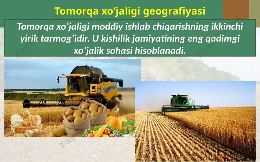 cha davlatlarida ekiladi va jami donli ekinlar maydonining 1/3 qismini band qilib kelmoqda. jahonning asosiy bug‘doyzorlari yer sharining birinchi «bug‘doy belbog‘i» hisoblanadigan shimoliy yarimsharning o‘rta kengliklari bo‘ylab tarqalgan. yana bir muhim donli ekin makkajo‘xoridir. uning asl vatani meksika hisoblanadi. makkajo‘xori, odatda, doni va poyasi uchun ekiladi 11-modda. tomorqa xo‘jaligidagi mehnat faoliyati tomorqa xo‘jaligidagi faoliyat shaxsiy tomorqa yer uchastkasi egasining va oila a’zolarining shaxsiy mehnatiga asoslanadi. maydoni kamida 0,04 gektar bo‘lgan shaxsiy tomorqa yer uchastkasida band bo‘lgan yoki mazkur maydonda shoxli qoramol yoxud kamida ellik bosh parranda boqayotgan shaxsiy tomorqa yer uchastkasining egasi yoki uning oila a’zolari ijtimoiy soliq to‘lashi mumkin. bunda shaxsiy tomorqa yer uchastkasining egasi yoki uning oila a’zolari ijtimoiy soliqni ixtiyoriy asosda to‘laydi. ijtimoiy soliqning belgilangan miqdorini to‘lash mehnat stajini hisoblab chiqarish chog‘ida bir kalendar yil deb hisobga olinadi. ijtimoiy soliqni to‘lash tartibi o‘zbekiston respublikasining soliq kodeksida belgilanadi. lexuz sharhi qarang: o‘zbekiston respublikasining soliq kodeksining 58-bobi. 12-modda. tomorqa …