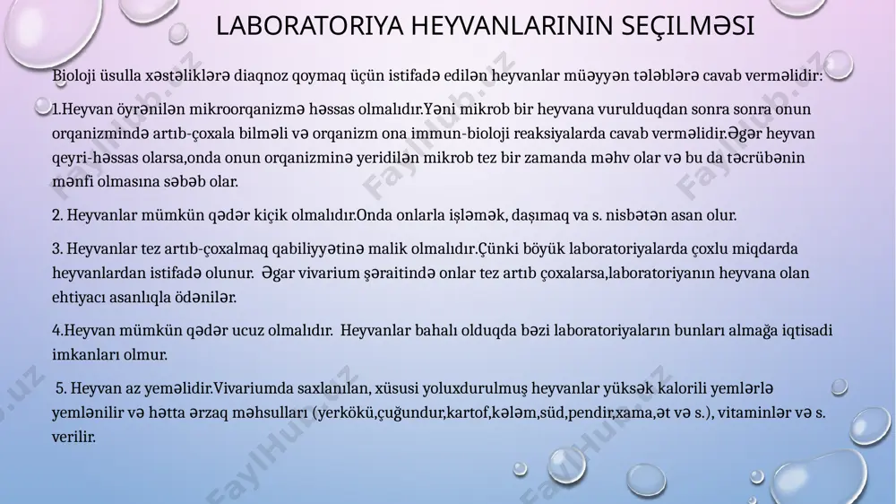 arılmalıdır.çünki gecikdikdə bağırsaq florası tezliklə qana,ayrı-ayrı toxumalara və orqanlara keçə bilir.belə hal otaq temperaturunda 10-18 saat,soyuducu temperaturunda isə 20-22 saata baş verir. heyvan cəsədi aseptikanın bütün qaydalarına riayət edilməklə yarılır.ancaq steril alətlərdən istifadə olunur və hər bir boşluğun,hətta orqanın yarılmasında alətlət dəyişdirilir. cəsəd yarılarkən,əməliyyat aparan şəxsin və ətraf əşyaların yoluxmasının qarşısını almaq üçün heyvanın tükləri əvvəlcədən dezinfeksiyaedici məhlulla isladılır. taundan ölmüş heyvanın cəsədləri neft içərisində saxlanılmaqla,taun törədicilərinin keçiricisi olan ektoparazitlər inaktivləşdirilir.cəsəd,içəriisndə dezinfeksiyedici məhlul olan küvetdə yerləşdirilən parafin üzərində yarılır və protokollaşdırılır.protokolda heyvanın yoluxdurulma vaxtı və yeridilən materialın xarakteri qeyd olunur. cəsədi̇n müayi̇nəsi̇ cəsədin müayinəsi aşağıdakı ardıcıllıqla aparılır: cəsəd arxası üstə taxta üzərində yerləşdirilir,nəzərdən keçirilir.i̇lk növbədə bədənin səthi örtüklərində baş verən dəyişikliklər,o cümlədən yaraların olmas (vərəmdə),tüklərin tökülməsi və dərinin rənginin dəyişməsi(qazlı anaerob infeksiyalarda) və s. qeyd olunur.sonra xüsusi iynələr və yaxud mismarla əlləri və ayaqları parafinə fiksasiya edilir. cəsədin yarılmasından əvvəl istifadə olunacaq alətlər sterilizatordan çıxarılır,içərisində spirt olan qablara yerləşdirilir və …