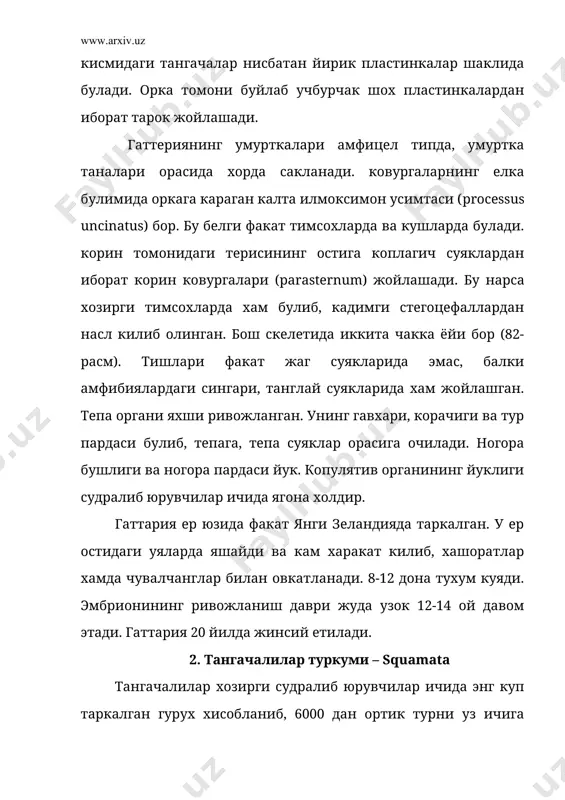н, 33-ўк илон, 34-кўзойнакли илон, 35-денгиз илони, 36-кора илон, 37-калкон тумшукли илон, 38-чинкирок илоннинг боши, 39-чинкирок илоннинг думи, 40-тимсох, 41-тимсох тишлари, 42-тимсох тухуми, 43-гавиал, 44-чўл тошбакаси, 45-боткоклик тошбакаси, 46-каретта, 47-илон бўйинли (ён бўйинли) тошбака, 48-юмшок терили тошбака. 82 - расм. гаттериянинг скелети: 1-пастки чакка ёйи, 2-устки чакка ёйи, 3-илмоксимон ўсимталари, 4-корин ковургалар. гекконлар (gekkonidae) оиласига 600 га якин тур киради. буларнинг узунлиги 3,5-35 см булади. тропик ва субтропик зоналарда таркалган. мдх дан кавказда, кримда, козогистон ва њрта осиёда таркалган. асосан кечаси хаёт кечиради. бармокларининг пастки юзаси микроскопик тукчалар билан копланган. шу туфайли булар вертикал, хатто уй шипида урмалаб юради. куз корачиги вертикал жойлашган. њрта осиёда таркалган сцинкли геккон (teratoscincus scincus) типик вакилидир. агамалар (agamidae) оиласи 300 га якин турларни уз ичига олади, кичик ва урта катталикда булади. африка, осиё ва австралиянинг чул зоналарида таркалган. бизда чул агамаси (agama sanguiпolenta), кавказ агамаси (agama caucasica), чулларда кизилкулок (рhrynocephalus mystaceus) яшайди. учар аждор …
