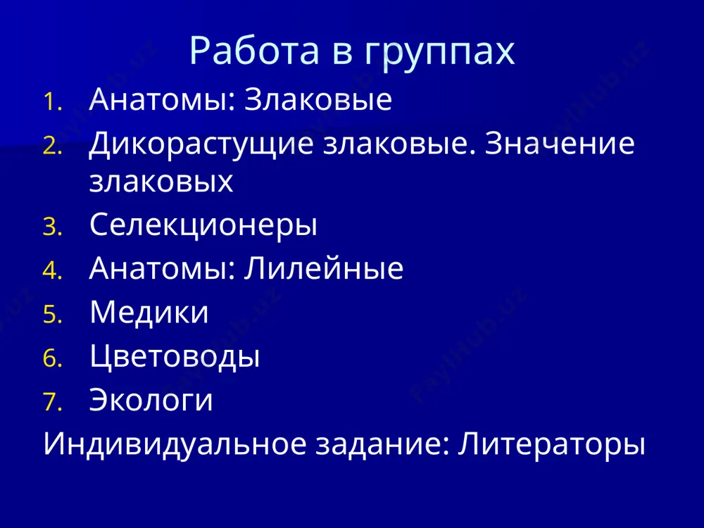 однодольные - Page 4