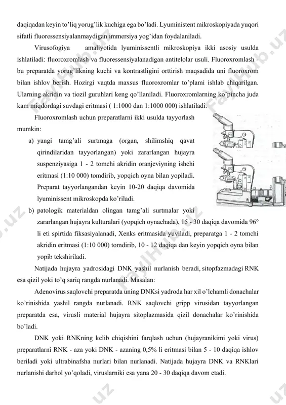 ultrabinafsha nurlari bilan nurlanadi. natijada hujayra dnk va rnklari nurlanishi darhol yo’qoladi, viruslarniki esa yana 20 - 30 daqiqa davom etadi. oddiy fluoroxromlash usuli murakkab emas, lekin ko’pchilik hollarda kasallik qo’zg’atuvchilarini to’liq farqlashga imkon bermaydi. fluoressensiyalanadigan antitelolar usuli (fau), yoki immunofluoressensiya reaksiyasi (ifr). ushbu usulning prinsipi shundan iborat-ki, fluoroxrom bilan biriktirilgan antitelolar gomologik antigen bilan maxsus bog’lanish qobiliyatini saqlab qaladi. hosil bo’lgan antigen + antitelo kompleksi lyuminissent mikroskopda fluoroxrom hisobiga o’ziga xos xarakterli nurlanish beradi. demak, ifr yordamida serologik reaksiyaning birinchi fazasini kuzatish imkoni paydo bo’ladi; ushbu usulning maxsusligi bilan birga sezuvchanligi yuqoridir. 2. antitelolar geteroantitelolardan tozalangan, faolligi yuqori virusga qarshi giperimmun zardoblardan olinadi. zardoblarning gomogen fraksiyalarini ajratib, undagi antitelolar fluoroxrom bilan ishlov beriladi. fluoroxrom sifatida fits - fluoressein izotiosionat (yashil nurlamsh) va rsx - rodamin sulfoxlorid (qizil nurlanish)lar ishlatiladi. fluoroxrom bilan belgilangan antitelolar kon ‘yugat deb ataladi. kon’yugatlarni -20 c yoki yanada pastroq haroratlarda germetik yopiq idishlarda saqlash taklif …