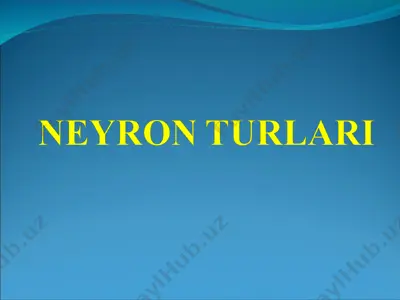 neyron turlari — PPT