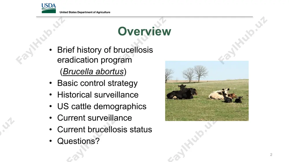 cellosis eradication program 1941: strain 19 vaccination approved 1947: first umr published 1952: brt testing begins 1954: congressional funds first approved 2000: no infected herds for 1st time in the usa fig 2. british army physician, capt. david bruce (1855 – 1931) the microorganism responsible for malta fever was discovered by a british army physician, sir david bruce, on july 9, 1887, which he called micrococcus melitensis. it was isolated from the spleen of a british soldier who had died of the disease. he also identified that the organism grew best at higher temperatures and speculated that this accounted for the increased frequency of cases in hot summer months. he later established goats as the main reservoir for infection by identifying the organism in their blood, urine, and milk. this discovery helped explain the epidemiology of the disease. for example, officers were three times more likely to become ill because …
