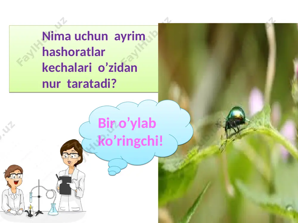 aydigan,cs2 da erimaydigan qorong’uda shulalanmaydigan zaharsiz ,atomli kristall tuzilishga ega modda. kimyoviy xossasi . 4p+5o2=2p2o5 2p+3cl2=2pcl3 2p+3s=p2s3 2p+3ca=ca3p2 2p+3h2=2ph3 oq fosfor –kislorod,galogenlar,oltin-gugurt , ayrim metallar va vodorod bilan bevosita birika oladi. ishlatilishi . qizil fosfor gugurt ishlab chiqarishda ishlatiladi. 6p+5kclo3→5kcl+3p2o5 mantiqiy savol. . bu mineral modda koni kola yarim orolida uchraydi.u o’z rangini kun davomida o’zgartirib turadi shuning uchun ham unga aldamchi deb nom berilgan.bu yerda qaysi mineral moddaning nomi yashiringan? . savol/javob 5 p4 31 15 pn 1.quyidagilardan qaysi biri oq fosfor? n a y i a 2.quyidagilardan qaysi biri qizil fosfor? s y i a p 3.gugurt ishlab chiqarishda qaysi fosfor ishlatiladi? m d u f a 4.fosforning tashqi pog’onasida nechta elektroni bor? t n m t f 5.posforda elektronlar coni nechta? a s t i t 6.fosforning atom massasi nechaga teng? p m t a i hcl ca3p2 h3po4 naoh ca3(po4)2 ph3 hno3 fe(oh)3 zn fosfor birikmalarini …