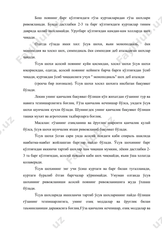 ûòà òåçïèøàð òуðëàðèäà одатда, иккиламчи тартиб шохлар фақат хосил шох тарзида ривожланади. хосил шох ўзининг пайдо бўлиши характери ва морфологик тузилиши жихатидан ўсув шохидан тубдан фарқ қилади. у асосий поядан ўсув шохига қараганда кенгроқ бурчак хосил қилиб чиқади, бу бурчак кўпинча тўғри бўлади. ўрта осиё шароитида саноатбоп хар хил ғўза нави шохларининг конструктив хусусиятларини ўрганиш мақсадида а.а.туркснинг олиб борган тадқиқотларига кўра, узун шохлайдиган навларда хосил шохининг асосий пояга нисбатан бурчаги ўртача 70-800 га, шохи калта бўлиб усадиган навларда эса бу бурчак 40-500 га тенг бўлади. хосил шохи бир неча куртакдан усиб ривожланади яъни хар бир куртакдан битта бўғим оралиги ўсиб чиқади ва учи хосил органи хамда барг билан тугалланади.. симподиал-грекча сўз бўлиб, (кўп поғонали) деган манони билдиради. хосил шохида хосил органининг қарама-қарши томонида барг жойлашади. бу шох у ёки бу даражада тирсакли бўлади. бу хусусиятларидан маълумки хосил шохининг учи хамма вақт мева органи билан тугалланади. бундан ташқари унинг хар бир …