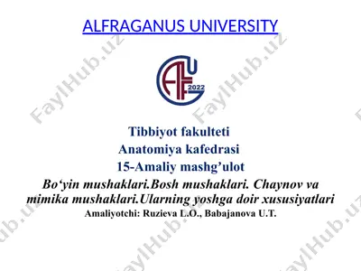 bo‘yin mushaklari, bosh mushaklari, chaynov va mimi kafalari — PPTX