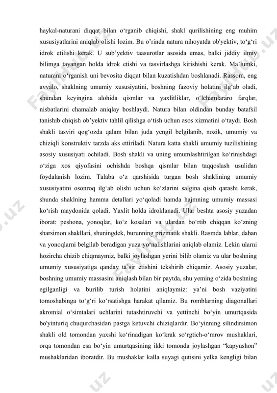 o‘ziga xos qiyofasini ochishda boshqa qismlar bilan taqqoslash usulidan foydalanish lozim. talaba o‘z qarshisida turgan bosh shaklining umumiy xususiyatini osonroq ilg‘ab olishi uchun ko‘zlarini salgina qisib qarashi kerak, shunda shaklning hamma detallari yo‘qoladi hamda hajmning umumiy massasi ko‘rish maydonida qoladi. yaxlit holda idroklanadi. ular beshta asosiy yuzadan iborat: peshona, yonoqlar, ko‘z kosalari va ulardan bo‘rtib chiqqan ko‘zning sharsimon shakllari, shuningdek, burunning prizmatik shakli. rasmda lablar, dahan va yonoqlarni belgilab beradigan yuza yo‘nalishlarini aniqlab olamiz. lekin ularni hozircha chizib chiqmaymiz, balki joylashgan yerini bilib olamiz va ular boshning umumiy xususiyatiga qanday ta’sir etishini tekshirib chiqamiz. asosiy yuzalar, boshning umumiy massasini aniqlash bilan bir paytda, shu yeming o‘zida boshning egilganligi va burilib turish holatini aniqlaymiz: ya’ni bosh vaziyatini tomoshabinga to‘g‘ri ko‘rsatishga harakat qilamiz. bu romblarning diagonallari akromial o‘simtalari uchlarini tutashtiruvchi va yettinchi bo‘yin umurtqasida bo'yinturiq chuqurchasidan pastga ketuvchi chiziqlardir. bo‘yinning silindirsimon shakli old tomondan yaxshi ko‘rinadigan ko‘krak so‘rgtich-o‘mrov mushaklari, orqa tomondan esa …