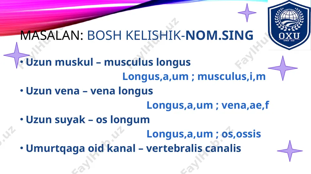 moslashgan va moslashmagan aniqlovchi ishtirokida anatomik terminlar strukturası - Page 5