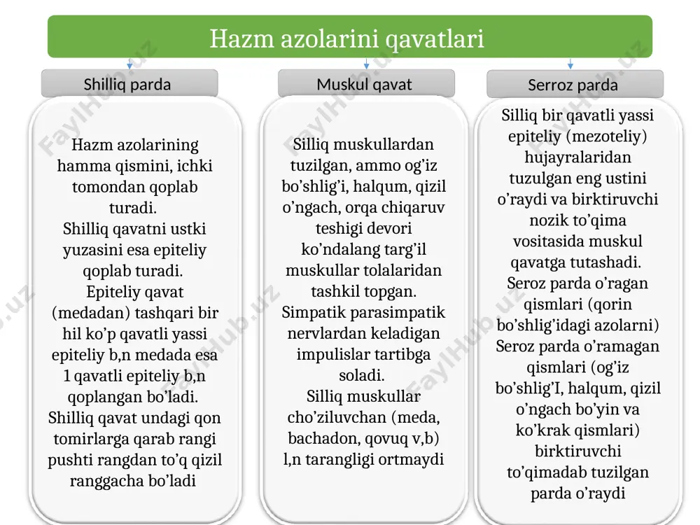 islotali muhitda tasirini yo’qatadi ovqat haqidagi malumot uzunchoq miyadagi markazni qo’zg’atadi. odam so’zlash paydo bo’lgani bilan, mayda bezlar ishlay boshlagan. ular og’iz bo’shlig’ini namlab turadi, ravon gapirish mumkin aks holda gapirish u,n qo’shimcha suv b,n namlash kerak yutish ovqat luqmasi og’izda, mexanik va kimyoviy parchalanib til ildizga yo’naltiradi, luqma yumshoq tanglayga kirishi b,n yutish sodir bo’ladi, bu paytda yumshoq tanglay ko’tarilib xoanani yopadi halqumga va qizil o’ngachga yo’naladi. qizil o’ngach to’lqinsimon harakatlanib, medaga suradi, agar suyq 2-3 sek, quyuq 6-8 sek davomida bajariladi burn qismi eng tepa qismi b/b burn bo’shlig’iga 1 juft xoana orqali qo’shilib ketgan. yumshoq tanglay roparasida eshituv (yevstaxiy) nayi boshlanadi. og’iz qismi tomoq orqali og’iz bo’shlig’iga tutashadi. bu qism ham havo va ovqat o’radigan qism bo’lganligidan yumshoq tanglay tartibga solib turadi. xiqildoq qismi kalta b/b, hiqildoqning orqa tomonida joylashgan. bu qism qizil o’ngacha tutashib ketadi. halqum-varonkaga o’xshash kalla suyagi tubidan boshlab, og’iz va burn bo’shlig’iga ochilib …