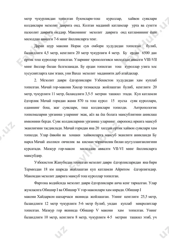 укурлиги 4-5 метрни ташкил этиб, уч маданий катламдан иборат. бу ердан микролит куроллар, хайвон суяклари, балик тутишда ишлатиладиган кадок тош - грузила топилган. марказий фаргонадан мезолит даврига мансуб 80 дан ортик маконлар топилган. булар ичида иттак калъа, шуркул, аччикул, янгикадам, бекобод, замбар, тайпоккул, дамкул, боскум мухим ахамиятга эгадир. мазкур маконлар кадимги куллар сохилида жойлашган булиб яшаш учун шароит кулай булган. марказий фаргона мезолит даври ёдгорликлари очик жой маконлар булиб, уларда маданий катлам учрамайди. бу маконлардан топилган трапециялар илк жойтун куролларига ухшаб кетади. ушбу маконларнинг маданий катламлари кадим замонлардаёк бузилган деган фикр билдирилади. мазкур ёдгорликлар хронологик жихатдан илк ва сунгги мезолитга булинади. илк мезолитга иттаккалъа 2, аччиккул 1-7, янгикадам 1-2, тайпок 1 маконлари кириб, улар милоддан олдинги ix-vii минг йилликларга мансуб. аччиккул, янгикадам 2, бекобод 3-4, шуркул 2, мадёр 11, янгикадам 22, тайпок 2, аччиккул 3, замбар 2, тойлок 3,5,7, бекобод 1,2, шуркул 1 маконлари сунгги мезолитга мансуб булиб, милоддан аввалги …