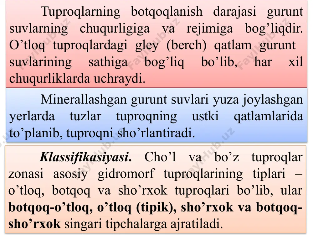 i tashkil etadi. bo’z tuproqlar zonasining gidromorf tuproqlari. bo’z tuproqlar zonasida allyuvial o’tloq, soz o’tloq, allyuvial botqoq, soz botqoq kabi tuproq tiplari tarqalgan. ushbu tuproqlar daryolarning quyi terrasalarida vodiylarning chekkalarida, yoyilmalari orasidagi pastliklarda va tog’ oldi qiyaliklarining quyi qismlarida keng tarqalgan. bo’z tuproqlar zonasidagi gidromorf tuproqlar o’zining qator xususiyatlari bilan, jumladan cho’l zonasidagi ana shunday tuproqlarga nisbatan, barqaror namlanish rejimi bilan xarakterlanadi. allyuvial o’tloq tuproqlar. bu tuproqlar sirdaryo va uning irmoqlari (qoradaryo, norin va ohangaron) vodiylarida, zarafshon, qashqadaryo, surxondaryo hamda vaxsh vodiylarida katta maydonlarni egallaydi. sirdaryo, zarafshonning o’rta oqimi, qashqadaryo, surxondaryo va vaxsh daryo vodiylarining quyi zonasining och tusli bo’z tuproqlar mintaqasida sizot suvlari sekin oqib ketganligidan ular minerallashgan va tuproqlari ham sho’rlangan. morfologiyasi. qalinligi 12-25 sm bo’lgan chimli qatlam (a), rangi to’q bo’zg’ish va aniq ifodalangan suvga chidamli strukturaga ega. b-gorizonti och qo’ng’ir tovlanadigan bo’zg’ish rangli, uvoqli chidamsiz strukturali. uning quyi qismida zangli dog’lari bo’lgan ko’kimtir gley gorizonti bor. …